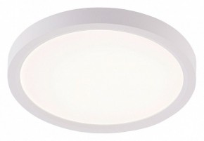 Накладной светильник Natali Kovaltseva PLAIN LED LAMPS 81113/1C в Красноуральске - krasnouralsk.ok-mebel.com | фото