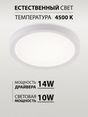 Накладной светильник Natali Kovaltseva PLAIN LED LAMPS 81113/1C в Красноуральске - krasnouralsk.ok-mebel.com | фото 4