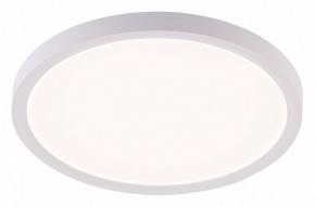 Накладной светильник Natali Kovaltseva PLAIN LED LAMPS 81113/2C в Красноуральске - krasnouralsk.ok-mebel.com | фото