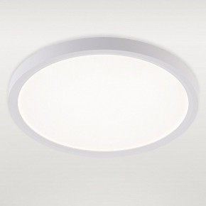 Накладной светильник Natali Kovaltseva PLAIN LED LAMPS 81113/2C в Красноуральске - krasnouralsk.ok-mebel.com | фото 2