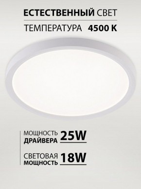 Накладной светильник Natali Kovaltseva PLAIN LED LAMPS 81113/2C в Красноуральске - krasnouralsk.ok-mebel.com | фото 3