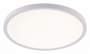 Накладной светильник Natali Kovaltseva PLAIN LED LAMPS 81113/3C в Красноуральске - krasnouralsk.ok-mebel.com | фото