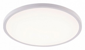 Накладной светильник Natali Kovaltseva PLAIN LED LAMPS 81113/5C в Красноуральске - krasnouralsk.ok-mebel.com | фото