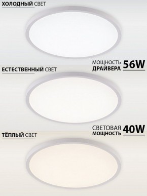 Накладной светильник Natali Kovaltseva PLAIN LED LAMPS 81113/5C в Красноуральске - krasnouralsk.ok-mebel.com | фото 3