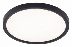 Накладной светильник Natali Kovaltseva PLAIN LED LAMPS 81114/2C в Красноуральске - krasnouralsk.ok-mebel.com | фото