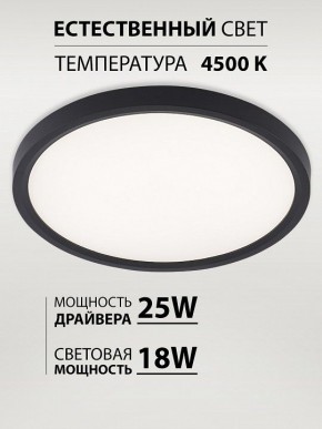 Накладной светильник Natali Kovaltseva PLAIN LED LAMPS 81114/2C в Красноуральске - krasnouralsk.ok-mebel.com | фото 3