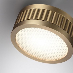 Накладной светильник Odeon Light Manchester 7013/7CL в Красноуральске - krasnouralsk.ok-mebel.com | фото 5