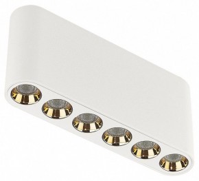 Накладной светильник Odeon Light Small 7091/15CL в Красноуральске - krasnouralsk.ok-mebel.com | фото
