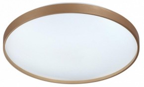 Накладной светильник Sonex Gaby 7783/EL в Красноуральске - krasnouralsk.ok-mebel.com | фото 4