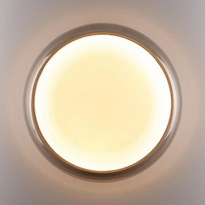 Накладной светильник Sonex PORTMAN 7777/DLN в Красноуральске - krasnouralsk.ok-mebel.com | фото 6