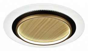 Накладной светильник Sonex Sunny 7731/80L в Красноуральске - krasnouralsk.ok-mebel.com | фото
