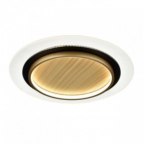 Накладной светильник Sonex Sunny 7731/80L в Красноуральске - krasnouralsk.ok-mebel.com | фото 4