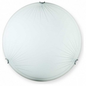 Накладной светильник TopLight Wifa TL9142Y-00WH в Красноуральске - krasnouralsk.ok-mebel.com | фото