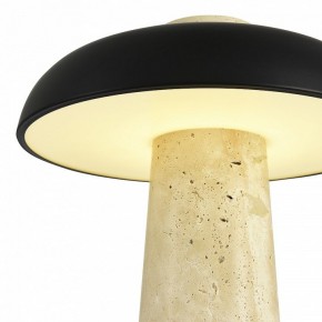 Настольная лампа декоративная ST-Luce Earthy SL1194.424.01 в Красноуральске - krasnouralsk.ok-mebel.com | фото 6