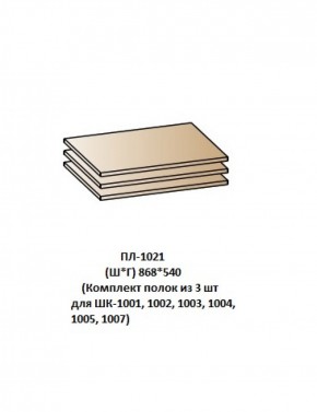 ПЛ-1021 (Комплект полок из 3 шт для ШК-1001, 1002, 1003, 1004, 1005, 1007) в Красноуральске - krasnouralsk.ok-mebel.com | фото