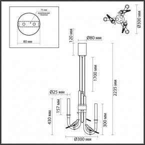 Подвесная люстра Odeon Light Lark 5431/6L в Красноуральске - krasnouralsk.ok-mebel.com | фото 5