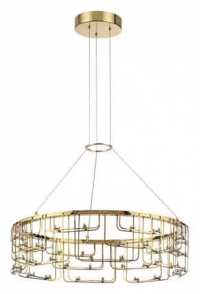 Подвесная люстра Odeon Light ZAHA 7060/44L в Красноуральске - krasnouralsk.ok-mebel.com | фото 2