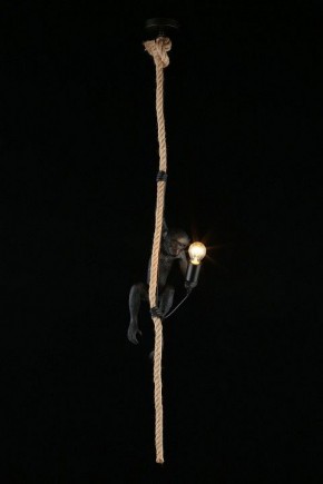 Подвесной светильник Aployt Magali APL.309.16.01 в Красноуральске - krasnouralsk.ok-mebel.com | фото 3