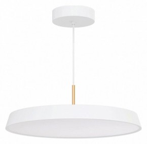 Подвесной светильник Arlight ELEGANT 033925(1) в Красноуральске - krasnouralsk.ok-mebel.com | фото 2