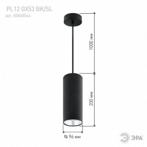 Подвесной светильник Эра  PL12 GX53 BK/SL в Красноуральске - krasnouralsk.ok-mebel.com | фото 8