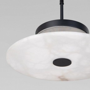 Подвесной светильник Eurosvet Thasos 40342 LED черный в Красноуральске - krasnouralsk.ok-mebel.com | фото 8