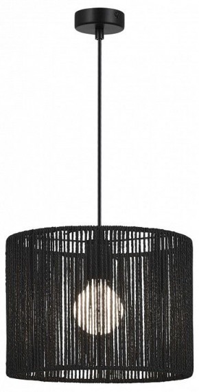 Подвесной светильник EVOLUCE ETTAN SLE6024-403-01 в Красноуральске - krasnouralsk.ok-mebel.com | фото 2
