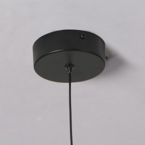 Подвесной светильник Favourite Wilet 4656-1P в Красноуральске - krasnouralsk.ok-mebel.com | фото 10