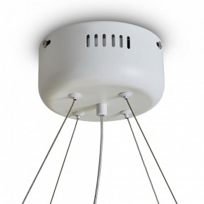 Подвесной светильник Freya Rain FR5546PL-L60W в Красноуральске - krasnouralsk.ok-mebel.com | фото 9