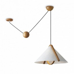 Подвесной светильник Freya Umbra FR5554CL-01T в Красноуральске - krasnouralsk.ok-mebel.com | фото 2