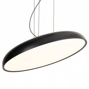 Подвесной светильник Lussole Crook LSP-7360 в Красноуральске - krasnouralsk.ok-mebel.com | фото