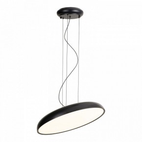 Подвесной светильник Lussole Crook LSP-7360 в Красноуральске - krasnouralsk.ok-mebel.com | фото 2