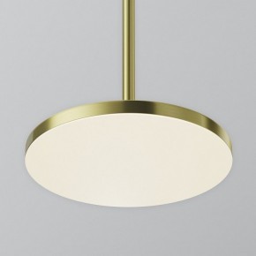 Подвесной светильник Maytoni Plato P076PL-L12W4K-BS в Красноуральске - krasnouralsk.ok-mebel.com | фото 7