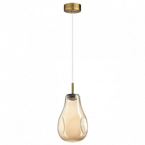 Подвесной светильник Odeon Light Nave 5098/4L в Красноуральске - krasnouralsk.ok-mebel.com | фото 4
