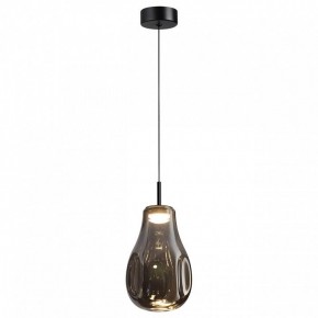 Подвесной светильник Odeon Light Nave 5098/4LC в Красноуральске - krasnouralsk.ok-mebel.com | фото 2