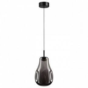 Подвесной светильник Odeon Light Nave 5098/4LC в Красноуральске - krasnouralsk.ok-mebel.com | фото 4