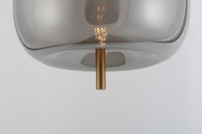 Подвесной светильник Rivoli Claire Б0061905 в Красноуральске - krasnouralsk.ok-mebel.com | фото 11
