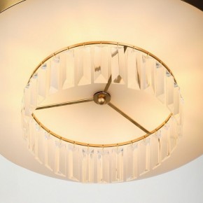 Подвесной светильник Rivoli Vickie Б0061902 в Красноуральске - krasnouralsk.ok-mebel.com | фото 11