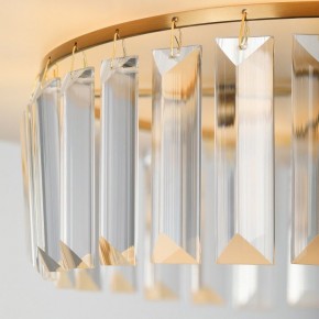 Подвесной светильник Rivoli Vickie Б0061902 в Красноуральске - krasnouralsk.ok-mebel.com | фото 13