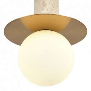 Подвесной светильник ST-Luce Earthy SL1194.303.01 в Красноуральске - krasnouralsk.ok-mebel.com | фото 5
