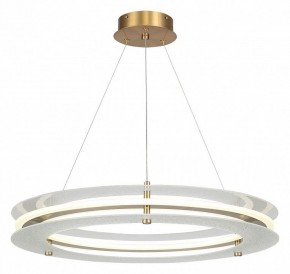Подвесной светильник ST-Luce FAGY SL6245.203.01 в Красноуральске - krasnouralsk.ok-mebel.com | фото 2