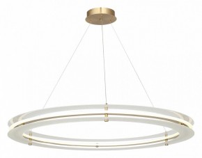Подвесной светильник ST-Luce FAGY SL6245.213.01 в Красноуральске - krasnouralsk.ok-mebel.com | фото 4