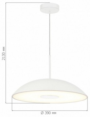 Подвесной светильник ST-Luce Lido SL6128.503.01 в Красноуральске - krasnouralsk.ok-mebel.com | фото 4