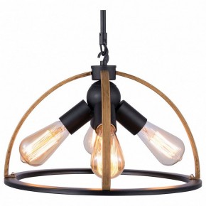 Подвесной светильник TopLight Jasmin TL1179H-04BK в Красноуральске - krasnouralsk.ok-mebel.com | фото
