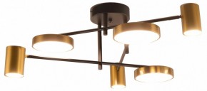 Потолочная люстра Kink Light Рапис 07645-6D,19(20) в Красноуральске - krasnouralsk.ok-mebel.com | фото