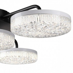 Потолочная люстра Lumion Didana 8236/4CL в Красноуральске - krasnouralsk.ok-mebel.com | фото 7