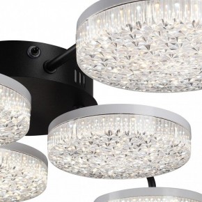 Потолочная люстра Lumion Didana 8236/6CL в Красноуральске - krasnouralsk.ok-mebel.com | фото 9