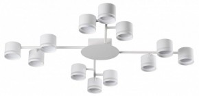 Потолочная люстра Lumion Gareta 8235/12C в Красноуральске - krasnouralsk.ok-mebel.com | фото