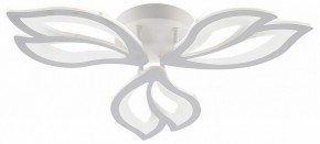 Потолочная люстра Natali Kovaltseva FORTUNA LED LAMPS 81107/2C в Красноуральске - krasnouralsk.ok-mebel.com | фото