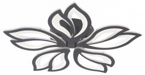 Потолочная люстра Natali Kovaltseva FORTUNA LED LAMPS 81107/5C в Красноуральске - krasnouralsk.ok-mebel.com | фото