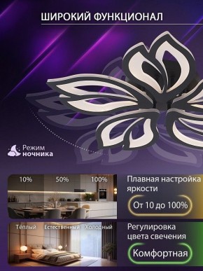 Потолочная люстра Natali Kovaltseva FORTUNA LED LAMPS 81107/5C в Красноуральске - krasnouralsk.ok-mebel.com | фото 6